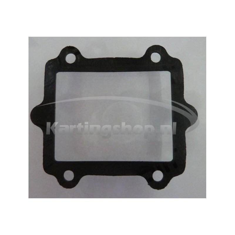 TM KZ10B Membrane housing gasket 1 mm
