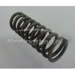 TM KZ10B Feather clutch | Kart Gear Shop