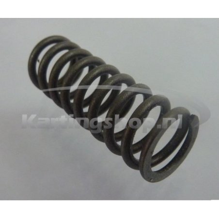 TM KZ10B Feather clutch | Kart Gear Shop