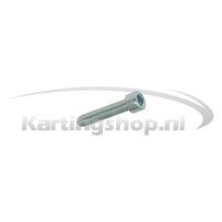 TM KZ10B Hexagon socket screw M6 × 30 mm
