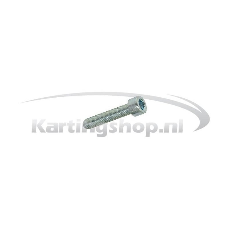 TM KZ10B Hexagon socket screw M6 × 30 mm | Kart Gear Shop