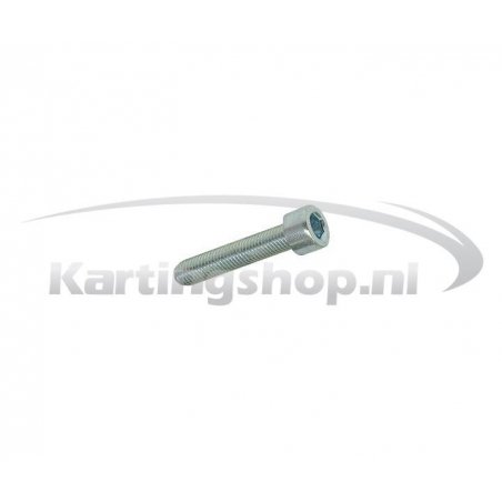 TM KZ10B Hexagon socket screw M6 × 30 mm