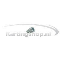 TM KZ10B Hexagon socket screw M6 × 10 mm
