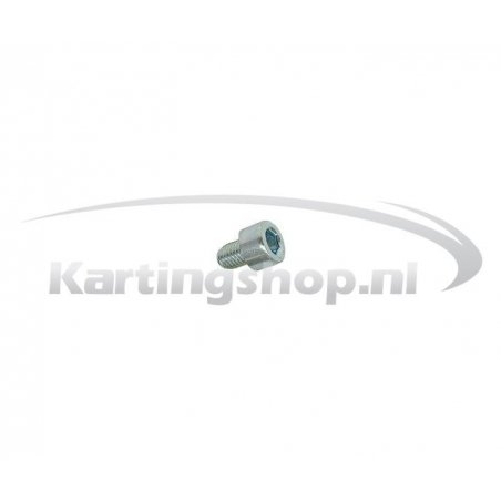 TM KZ10B Hexagon socket screw M6 × 10 mm