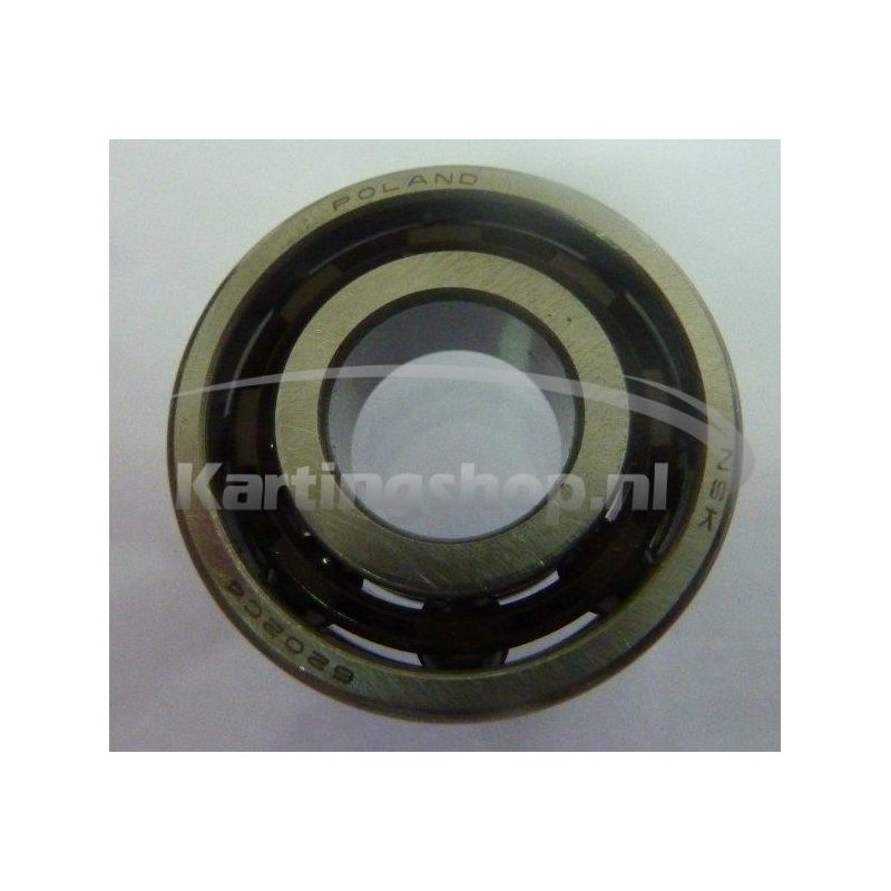 TM KZ10B crankshaft Lager 6202 C4