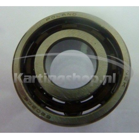 TM KZ10B crankshaft Lager 6202 C4