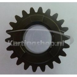 TM KZ10B Primary pinhão 22 5th gear