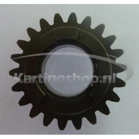 TM KZ10B Primary pinhão 22 5th gear