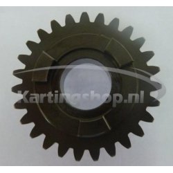 TM KZ10B Primary tandwiel 27 6th gear