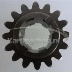 TM KZ10B Primary pinhão 16 2nd gear