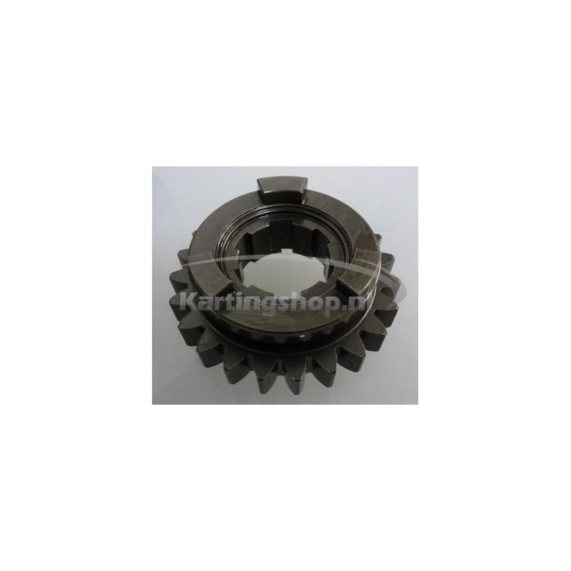 TM KZ10B Secondary sprocket 25 5th gear | Kart Gear Shop
