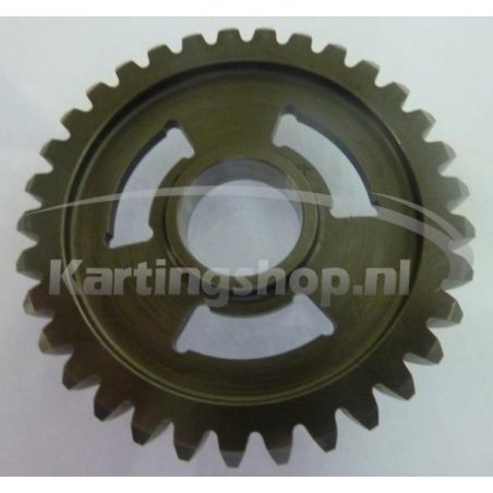TM 33 KZ10B Secondary gear 1st gear