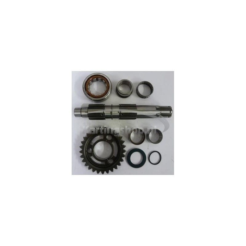 TM KZ10B Kit Counters haft d. 21 | Kart Gear Shop