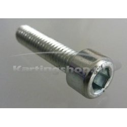 TM 6 x 25 Hexagon socket KZ10B
