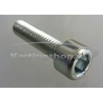 TM 6 x 25 Hexagon socket KZ10B