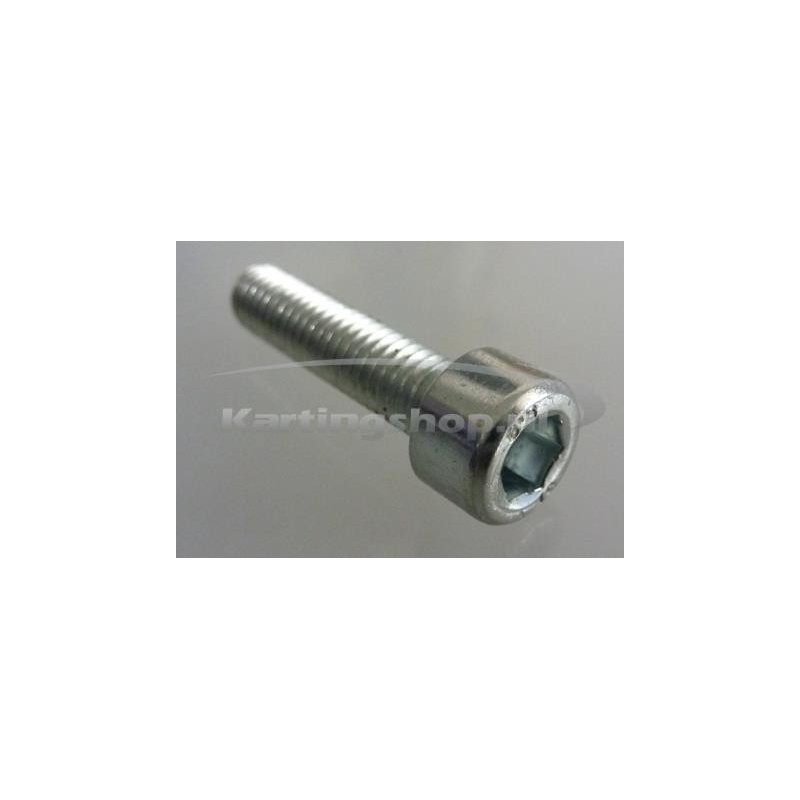 TM 6 x 25 Hexagon socket KZ10B