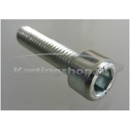 TM 6 x 25 Hexagon socket KZ10B