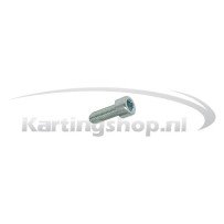 TM KZ10B Hexagon socket screw 6 x 20 | Kart Gear Shop