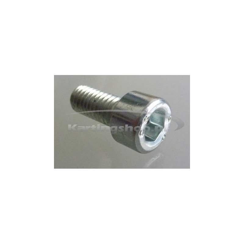 TM KZ10B Hexagon socket screw 4 x 16 mm