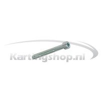 TM KZ10B sextavado parafuso 5 x 40 mm