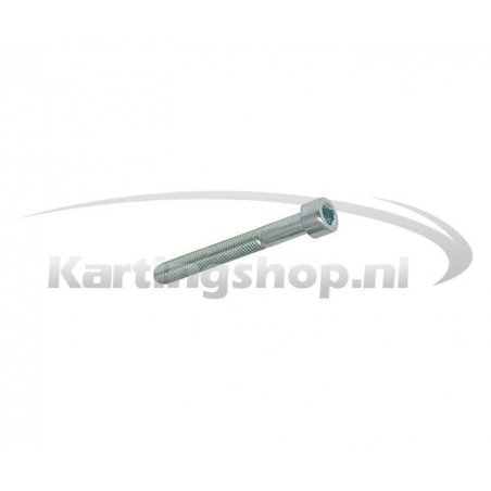 TM KZ10B sextavado parafuso 5 x 40 mm