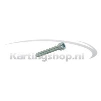 TM KZ10B Hexagon socket screw 5 x 30 mm