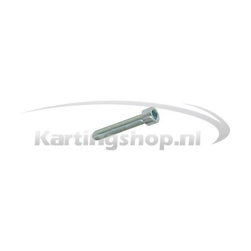 TM KZ10B Hexagon socket screw 5 x 30 mm