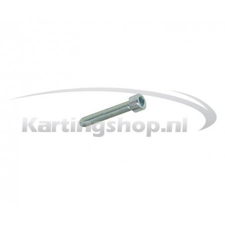 TM KZ10B Hexagon socket screw 5 x 30 mm