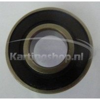 TM 6001 KZ10B cambio cuscinetti 2RS