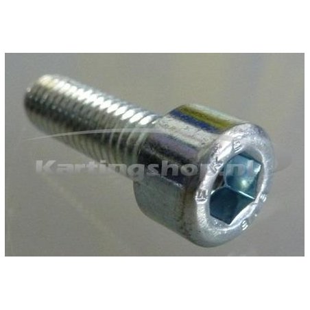 TM KZ10B Hexagon socket screw M6 x 20 mm