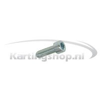 TM KZ10B Hexagon screw M8 × 25
