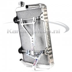 Radiator New-Line 125RS 430 x 230 x 40 mm cpl. with support