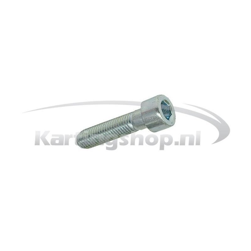 M10 Engine Mount Bolt CRG – Secure Fit