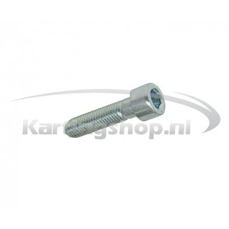 M10 Engine Mount Bolt CRG – Secure Fit