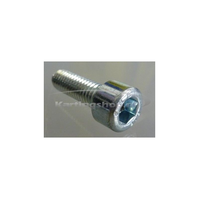 TM 60 cc an Schraube M6×20 für inlaatrubber