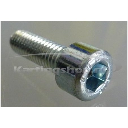 TM 60 cc an bolt M6×20 pour inlaatrubber | Kart Gear Shop