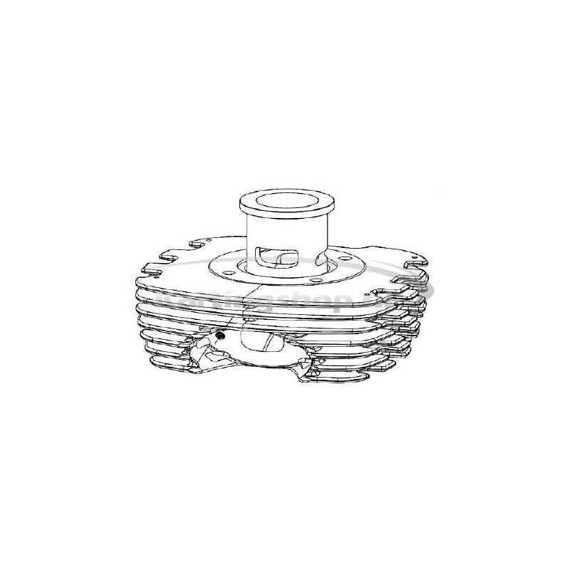 TM 60 cc an Cylinder + Bus