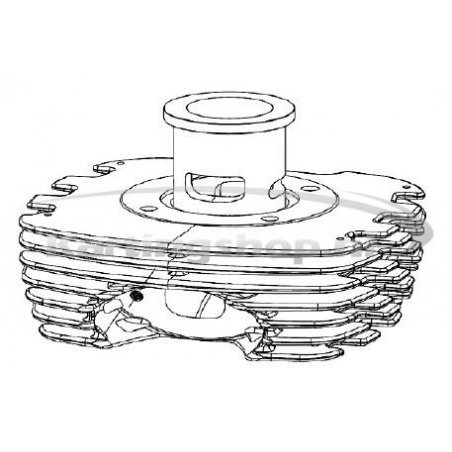 TM 60cc Cilinder + Bus