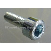 TM 60 cc an bolt M6×20 flange