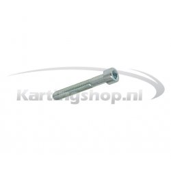 TM 60cc Hexagon socket skruv M6 × 40