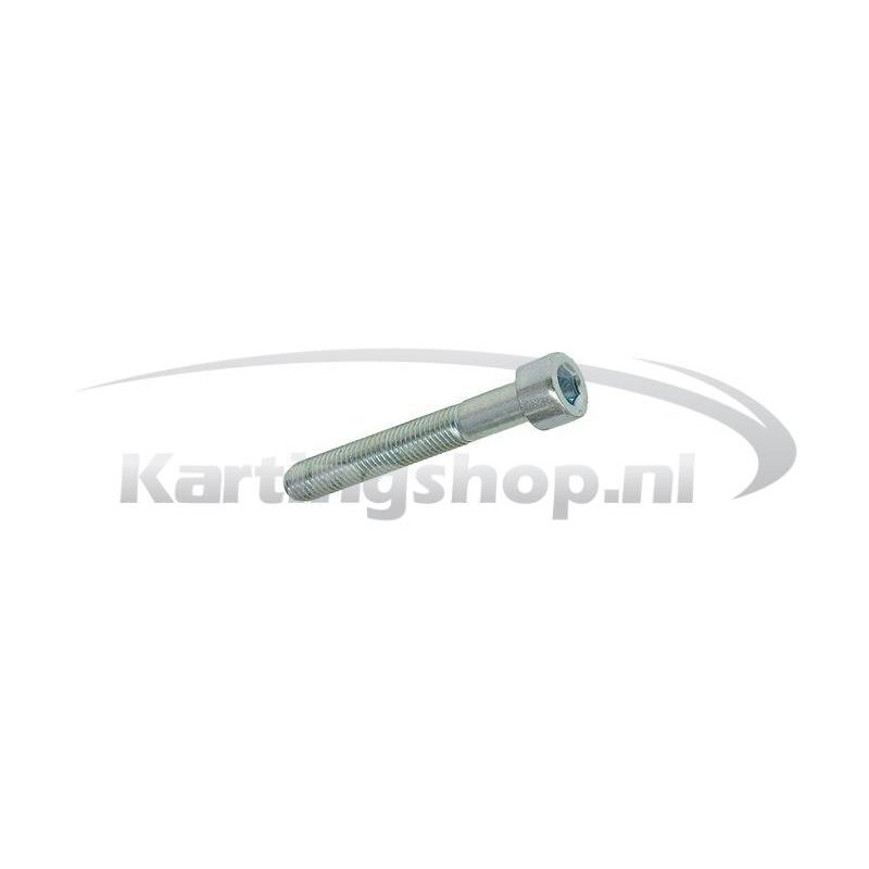 TM 60cc Hexagon socket skruen M6 × 40