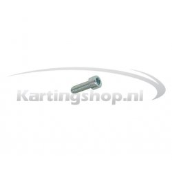 TM 60cc Hexagon socket skruen M5 × 16 dekke