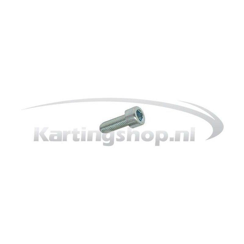 TM 60cc Hexagon socket skruen M6 × 20 for Bendix