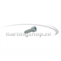 TM 60cc Hexagon socket skrue M6 × 20 for Cover clutch