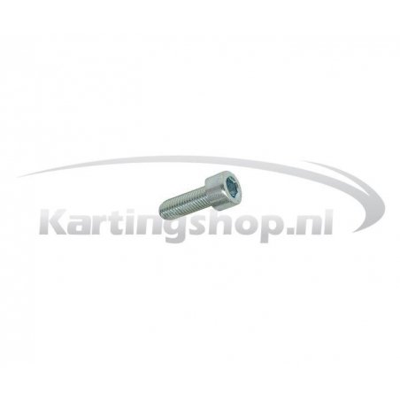 TM 60cc Hexagon socket skrue M6 × 20 for Cover clutch