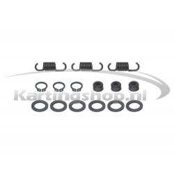 Revision set clutch Mod 08 Rotax Max – Kart Racing Performance