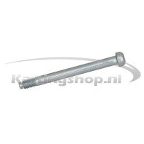 Fuseebout bolkop M8×90mm Wildkart