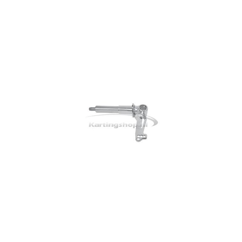 Stub Achse links complete KF1 KF3 2013-CRG