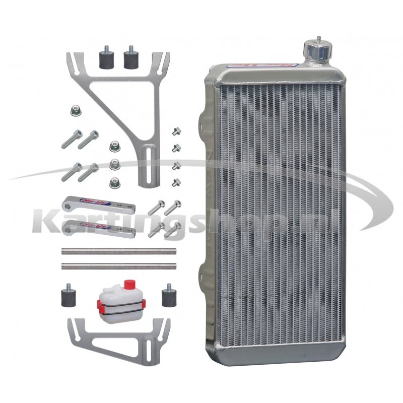 Radiatore New-Line 125R 430 x 205 x 40mm cpl con supporto