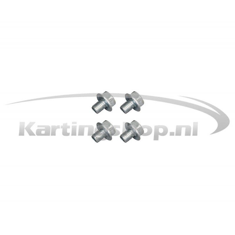 Newline radiator screw set